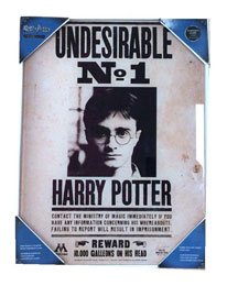 Harry Potter Glasposter Harry & Voldemort 30 x - Anime Figuren günstig kaufen