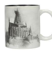 Harry Potter Glasposter Harry & Voldemort 30 x - Anime Figuren günstig kaufen
