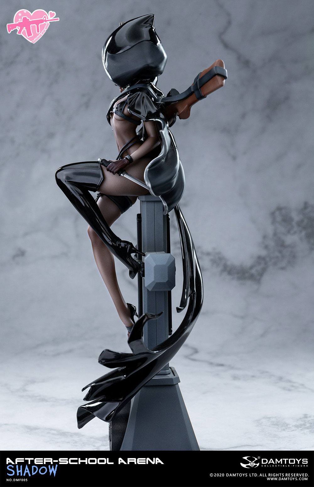 No. 5 Shadow After-School Arena Damtoys