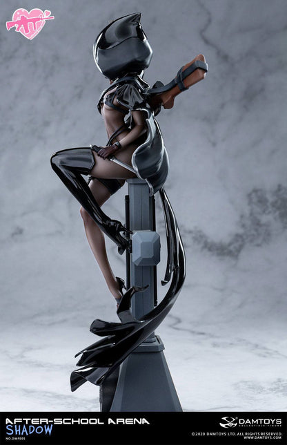 No. 5 Shadow After-School Arena Damtoys