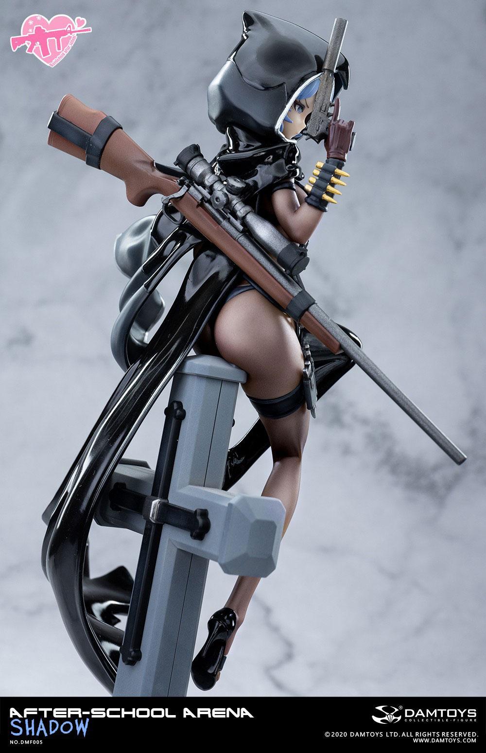 No. 5 Shadow After-School Arena Damtoys