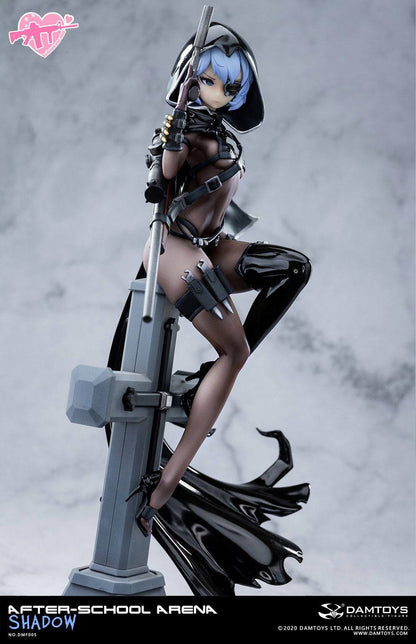 No. 5 Shadow After-School Arena Damtoys