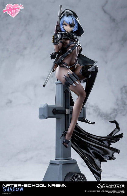 No. 5 Shadow After-School Arena Damtoys