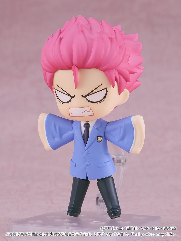 Hikaru Hitachiin Nendoroid Good Smile Company