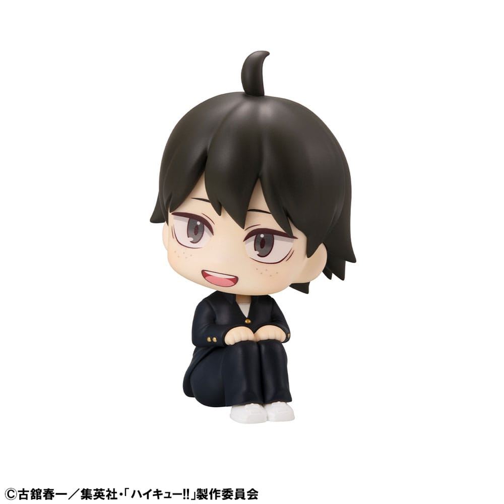 Tadashi Yamaguchi Look Up MegaHouse