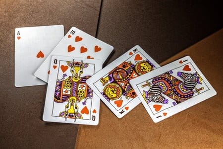 Theory 11 Spielkarten Animal Kingdom - Anime Figuren günstig kaufen