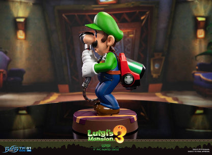 Luigi / Luigi's Mansion 3